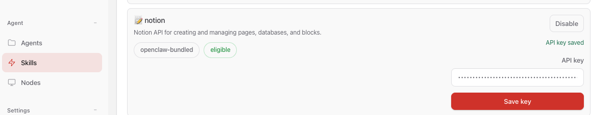 OpenClaw Dashboard에서 Notion API 키 추가